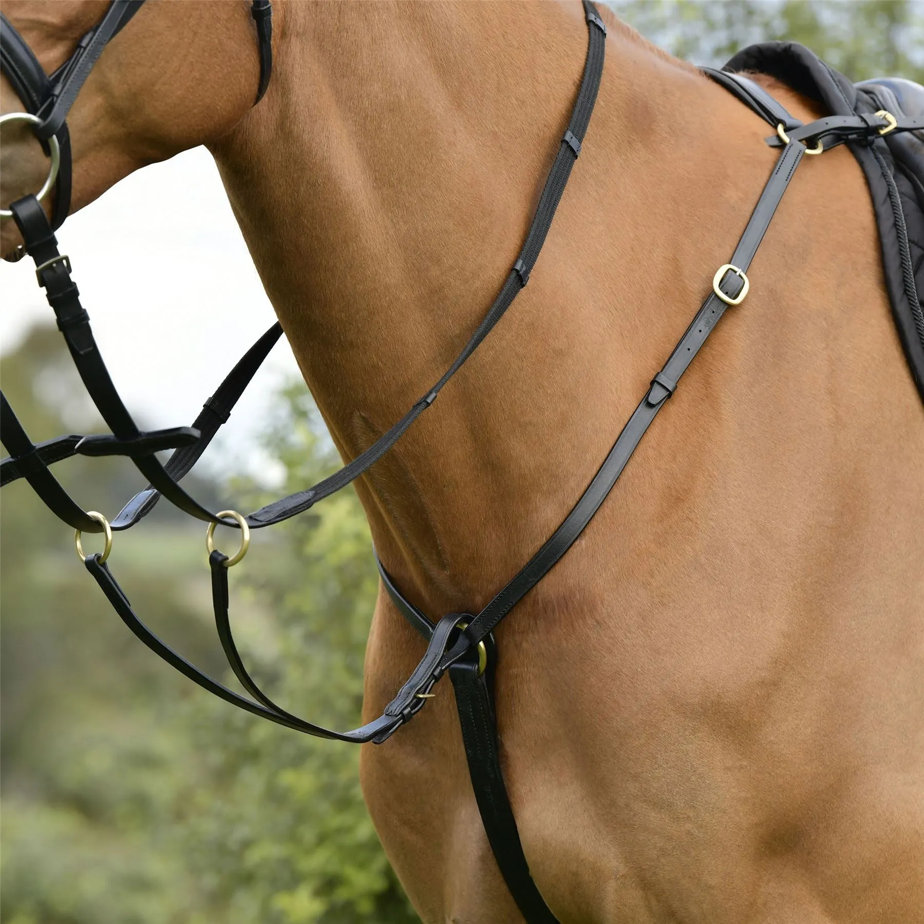 Kincade Classic 3 Point Breastplate With Running Martingale